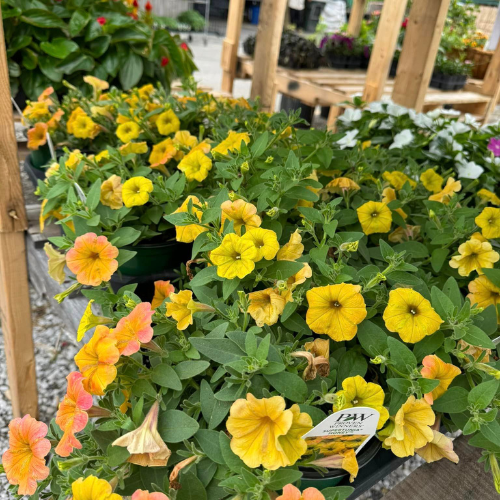 Lawn and garden supplies