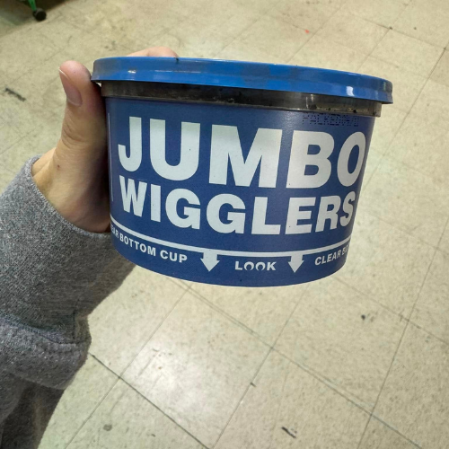 Worm container