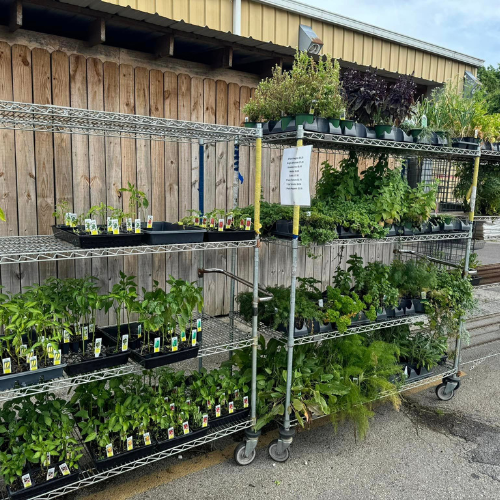 Lawn and garden supplies