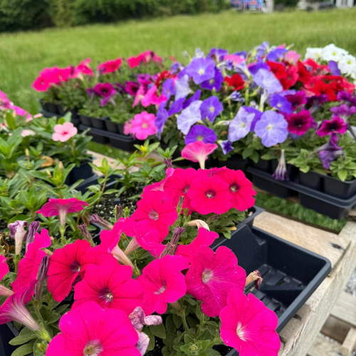 Lawn and garden supplies