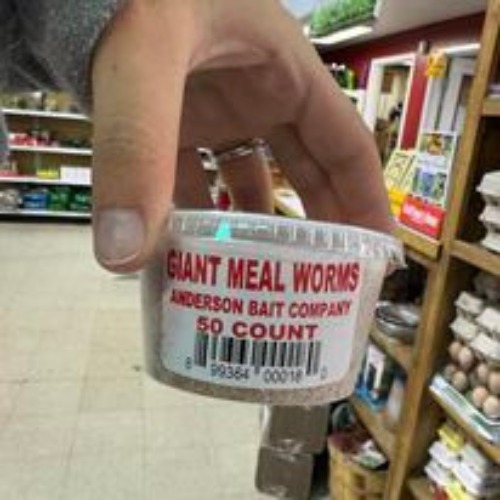 Worm container