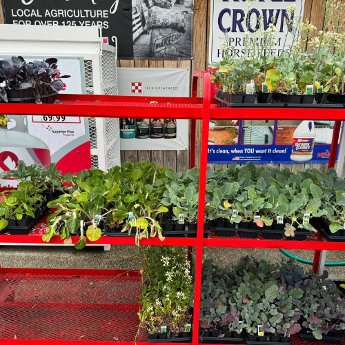 Lawn and garden supplies