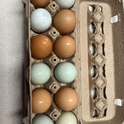 Poultry supplies inside of the store