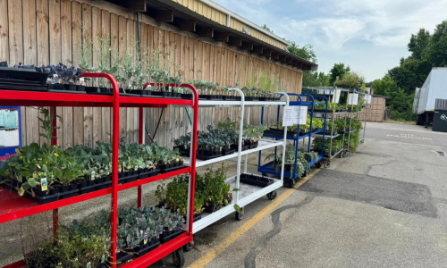 Lawn and garden plants on a rack