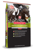 SuperSport Amino Acid Supplement