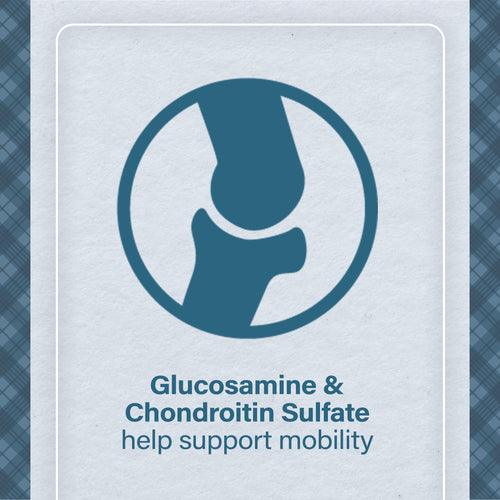 Nutrena®Loyall Life® Large Breed Chicken & Brown Rice Recipe Adult Dog Food