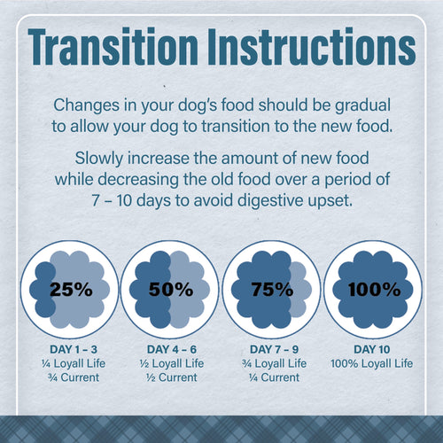 Nutrena® Loyall Life® Large Breed Lamb Meal & Brown Rice Recipe Adult Dog Food