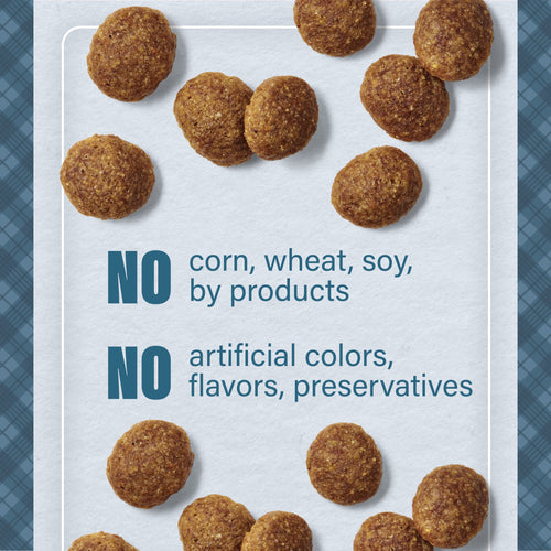 Nutrena® Loyall Life® Puppy Chicken & Brown Rice Recipe Dog Food