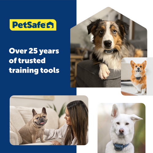 PetSafe NanoBark™ Collar
